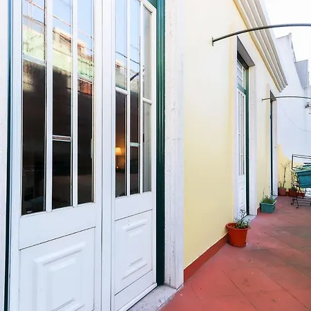 Rato Elegant By Homing