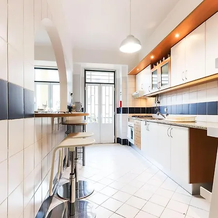 Rato Elegant By Homing