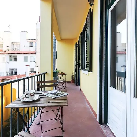 Rato Elegant By Homing